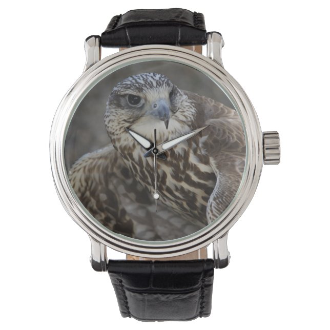 Reloj De Pulsera Falco cherrug (Anverso)