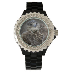 Reloj De Pulsera Falco cherrug