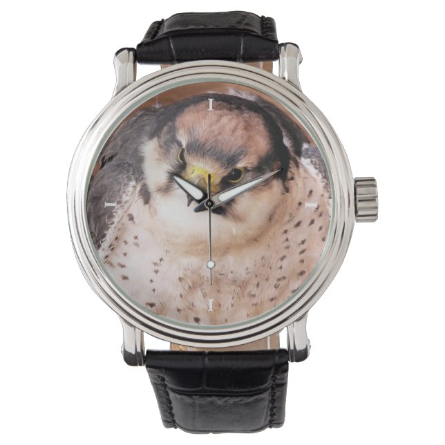 RELOJ DE PULSERA FALCON (Anverso)