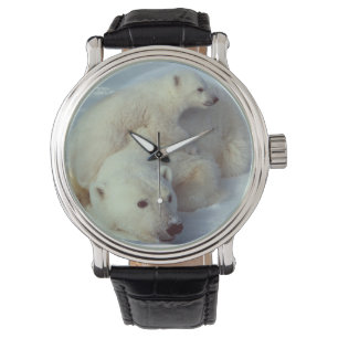 Reloj De Pulsera Familia blanca del oso polar