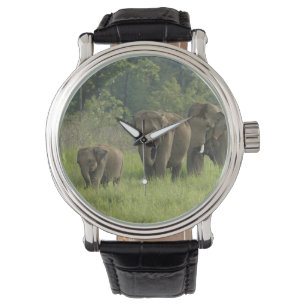 Reloj De Pulsera Familia de elefantes indios