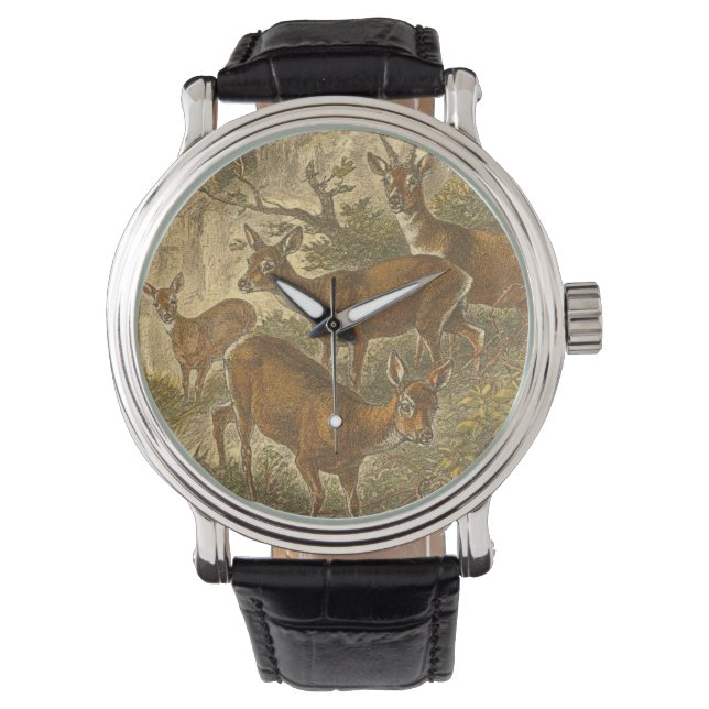 Reloj De Pulsera Familia de Roe - Deers en un bosque (Anverso)