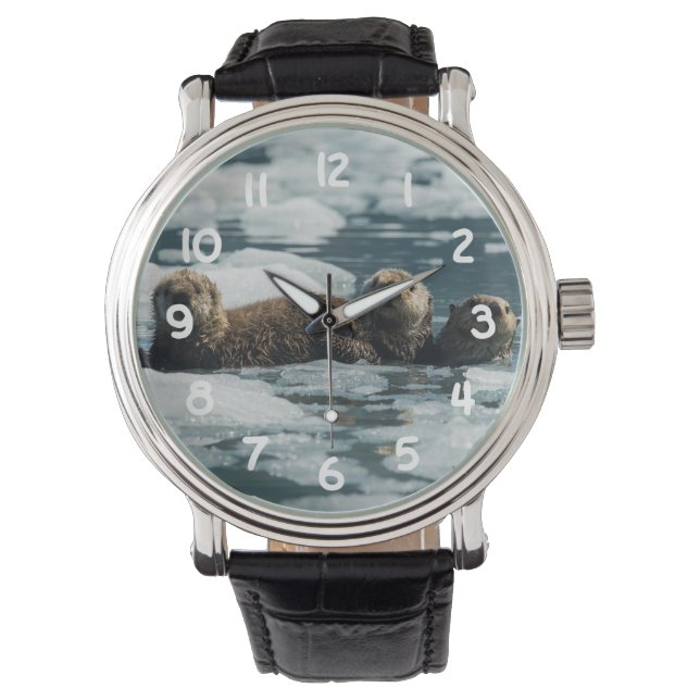 Reloj De Pulsera Familia Sea Otter (Anverso)