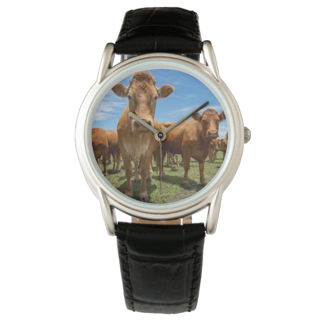 Reloj De Pulsera Farms | Brown Cow Group (Anverso)