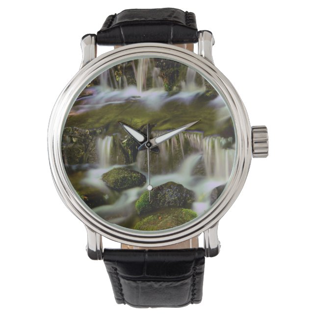 Reloj De Pulsera Fern Spring, Parque Nacional Yosemite, California (Anverso)