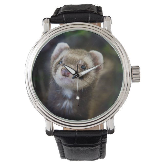 Reloj De Pulsera Ferret (Anverso)