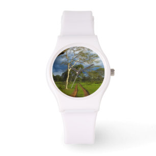 Reloj De Pulsera Fever Tree (Acacia Xanthophloea) Por Dirt Track