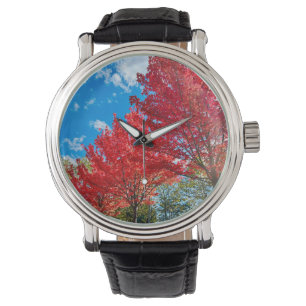 Reloj De Pulsera Flagrantes hojas de árboles rojos en otoño
