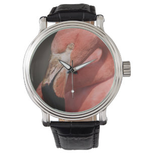 Reloj De Pulsera Flamenco chileno, Phoenicopterus chilensis