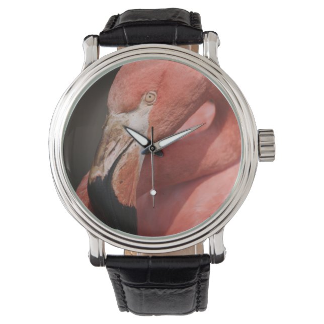 Reloj De Pulsera Flamenco chileno, Phoenicopterus chilensis (Anverso)
