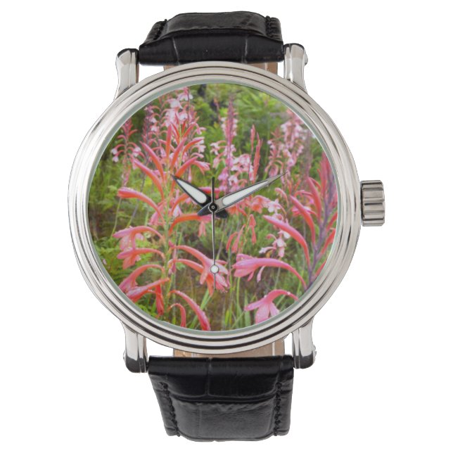 Reloj De Pulsera Flor de Lily Bugle (Watsonia), Cabo Oriental (Anverso)