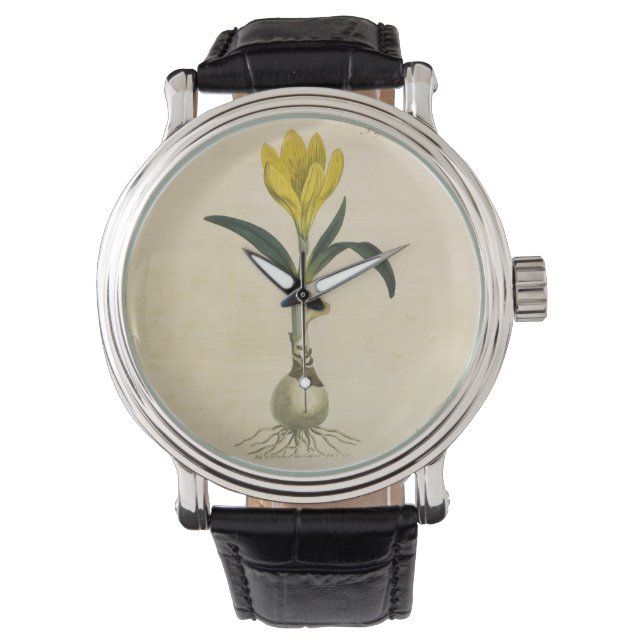 Reloj De Pulsera Flor Jardín Botánico Amaryllis Tulip (Anverso)