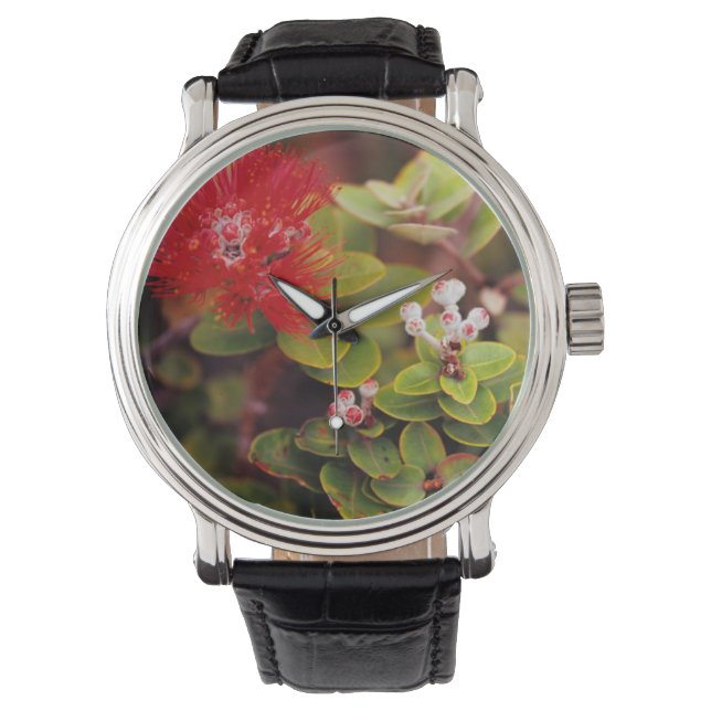 Reloj De Pulsera Flores de Lehua en volcanes de Hawái (Anverso)