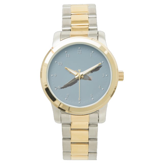 Reloj De Pulsera Flying Pelican Watch (Anverso)