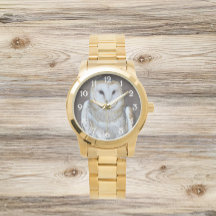 Foto de Barn Owl Raptor