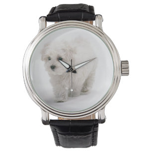 Reloj De Pulsera Foto de Bichon Frise
