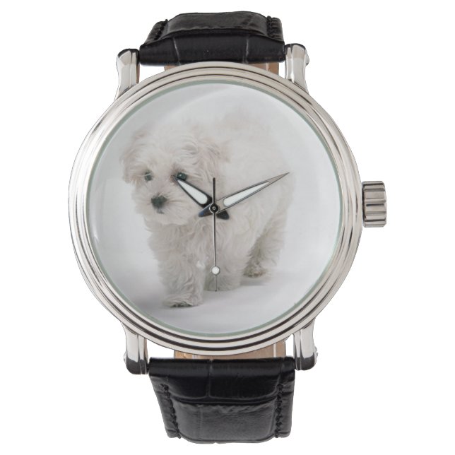 Reloj De Pulsera Foto de Bichon Frise (Anverso)