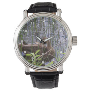 Reloj De Pulsera Foto de cierre de un pato