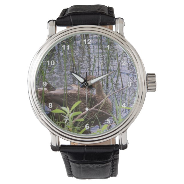 Reloj De Pulsera Foto de cierre de un pato (Anverso)