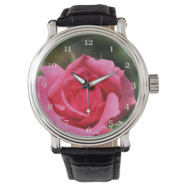 Reloj De Pulsera foto de flor de rosa rosa caliente de verano perfe