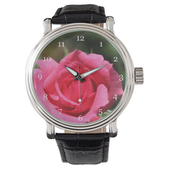 Reloj De Pulsera foto de flor de rosa rosa caliente de verano perfe (Anverso)