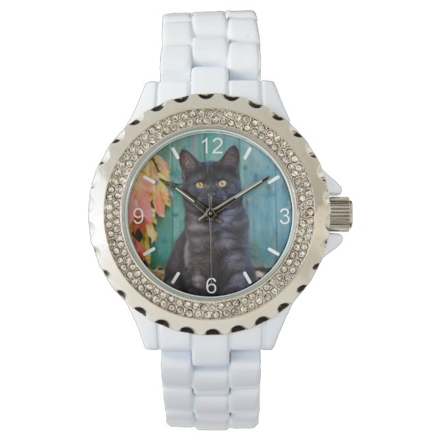 Reloj De Pulsera Foto de la puerta azul de gatito negro lindo - pla (Anverso)