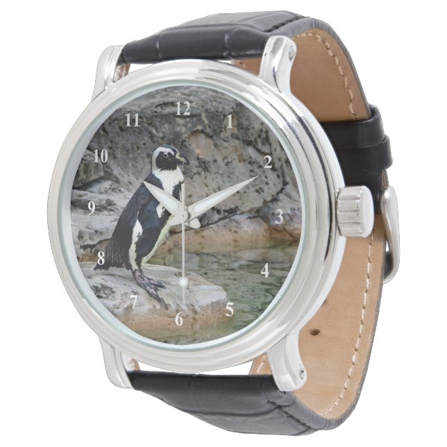 Reloj De Pulsera Foto de Pingüino de Vida Silvestre (Angular)