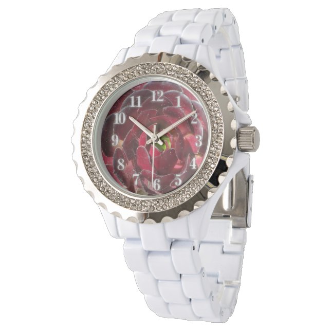 Reloj De Pulsera Foto de planta costera Borgoña roja exitosa (Angular)