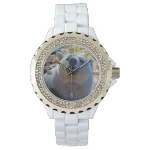 Reloj De Pulsera Foto de vida silvestre Rare Kermode Bear (oso espi