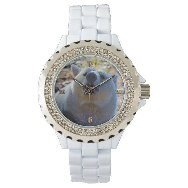 Reloj De Pulsera Foto de vida silvestre Rare Kermode Bear (oso espi (Anverso)