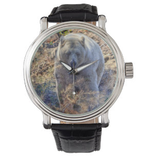 Reloj De Pulsera Foto de vida silvestre Rare Kermode Bear (oso espi