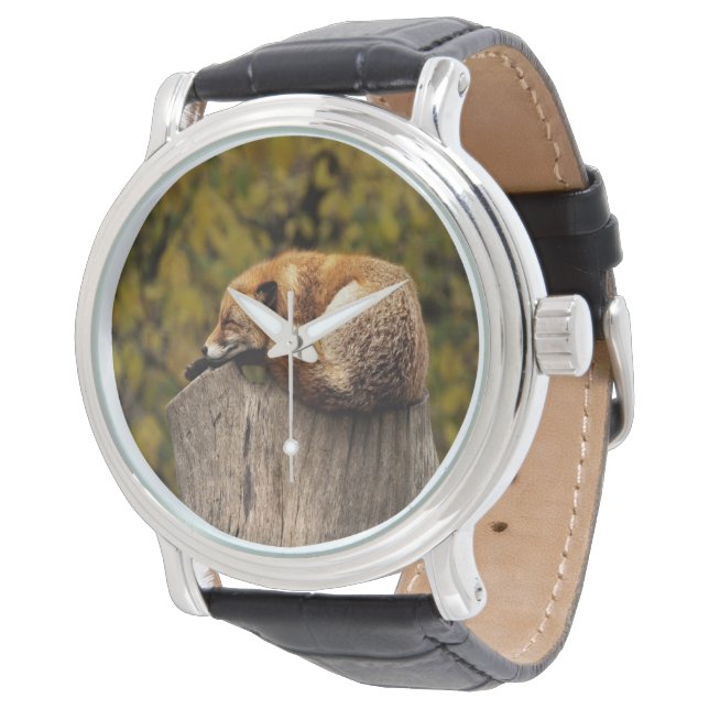 Reloj De Pulsera Foto de zorro dormido (Angular)