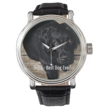 Foto y nombre del perro del laboratorio negro pers