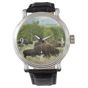 Reloj De Pulsera Fotografía de animales de la naturaleza de Wyoming