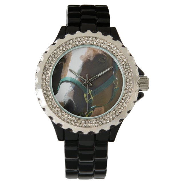 Reloj De Pulsera Fotografía De Caballo En Womens Watch (Anverso)