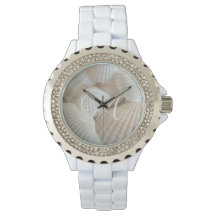 Fotografía de las conchas de playa de Seashells Mo