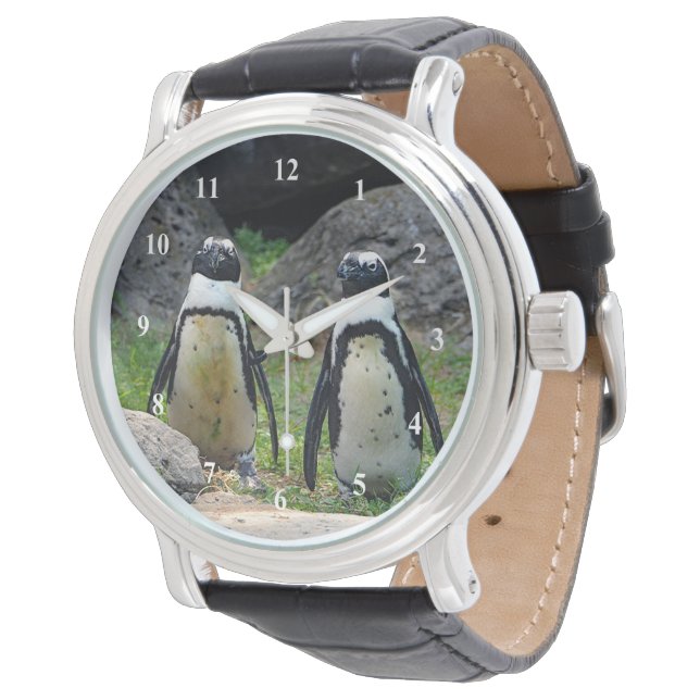 Reloj De Pulsera Fotografía de Pingüino de Vida Silvestre (Angular)
