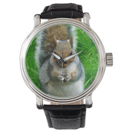 Reloj De Pulsera Fotografía de una ardilla linda en un jardín