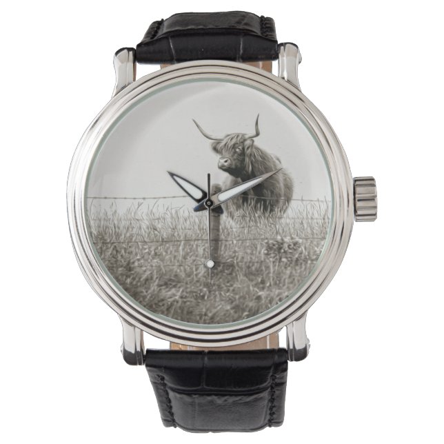 Reloj De Pulsera Fotografía de vaca escocesa (Anverso)