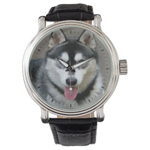 Reloj De Pulsera Fotografía del perro del Malamute de Alaska