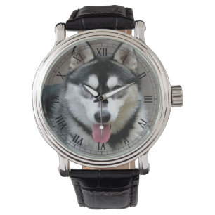Reloj De Pulsera Fotografía del perro del Malamute de Alaska
