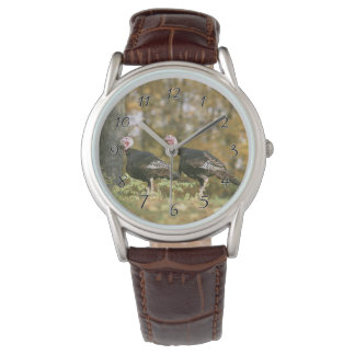Reloj De Pulsera Fotografía masculina de pares turcos en otoño