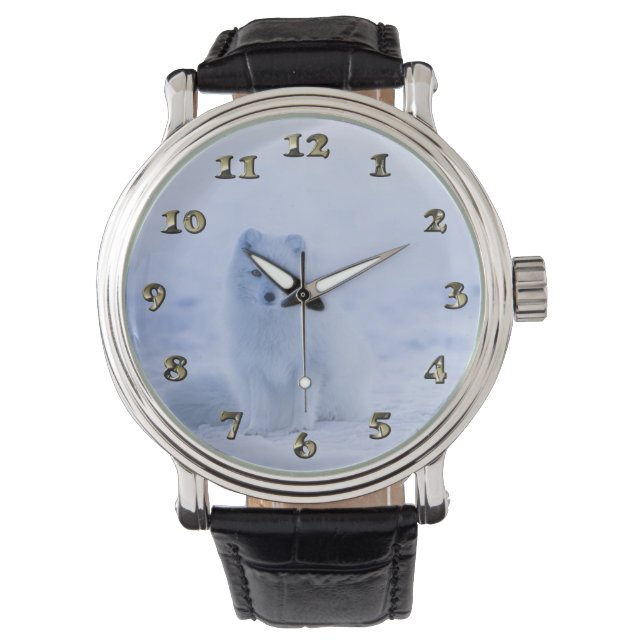 Reloj De Pulsera Fox del Ártico de Islandia (Anverso)