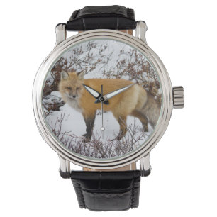 Reloj De Pulsera Fox roja en la nieve en invierno