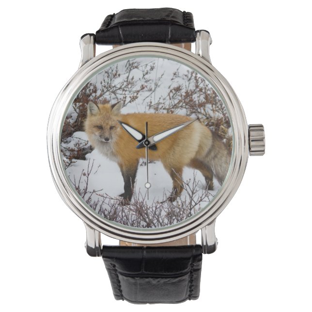 Reloj De Pulsera Fox roja en la nieve en invierno (Anverso)