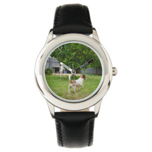 Reloj De Pulsera Fox Terrier Jugando En El Jardín,