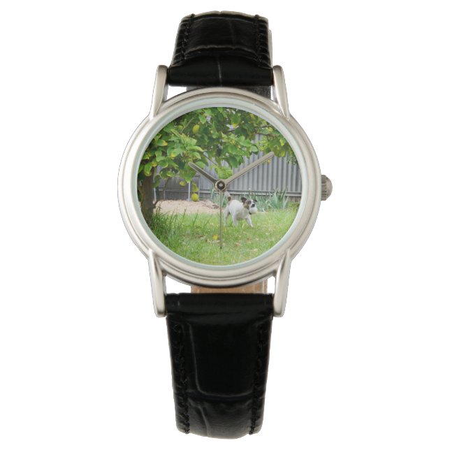 Reloj De Pulsera Fox Terrier Scare Face Ladies Black Leather Watch (Anverso)