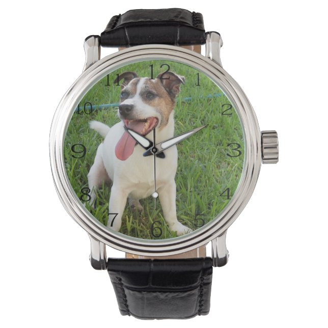Reloj De Pulsera Fox Terrier, Tongue En La Queja, (Anverso)