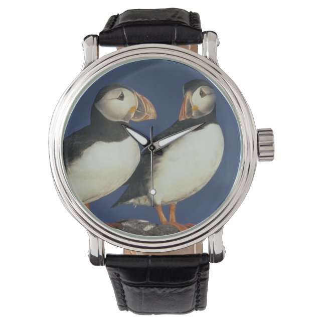 Reloj De Pulsera Frailecillo atlántico (Anverso)