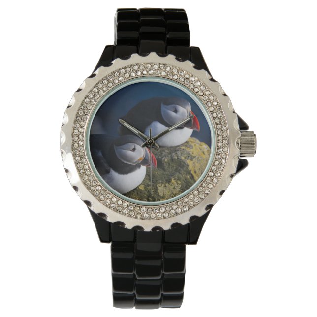 Reloj De Pulsera Frailecillo atlántico (Fratercula arctica) 7 (Anverso)
